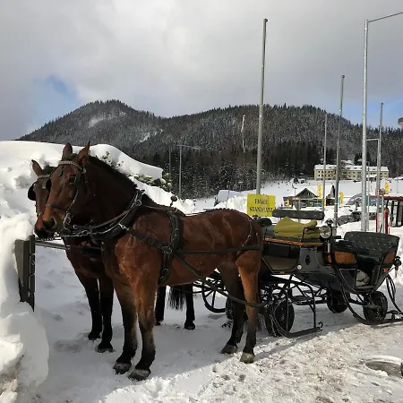 45 M2 Cosy In Alter Am * Semmering